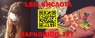 прущие грибы Кингисепп